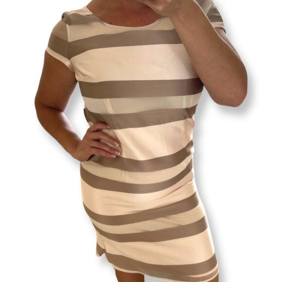 NWT Marie Mero silk blend dress, sheer overlay, fully lined, Sz 4, beige… - Picture 5 of 14